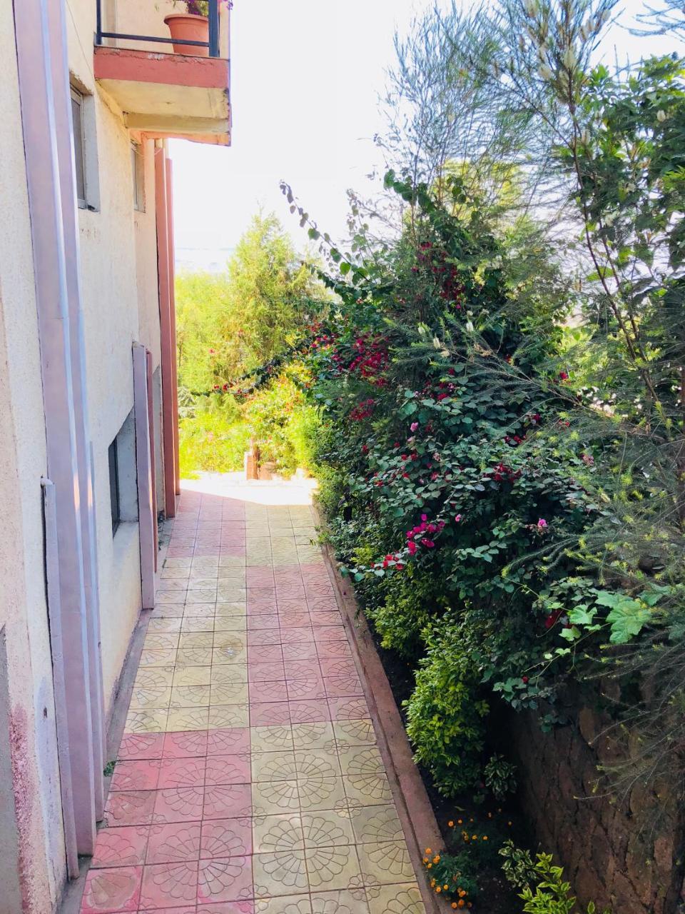 Red Rock Lalibela Hotel Εξωτερικό φωτογραφία